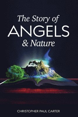The Story of Angels and Nature 1