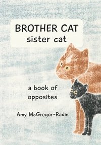 bokomslag BROTHER CAT sister cat