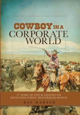 bokomslag Cowboy in a Corporate World