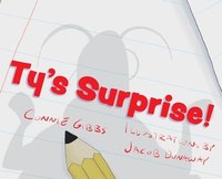 bokomslag Ty's Surprise