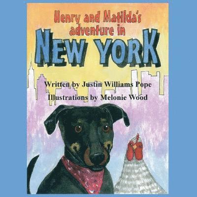 Henry and Matilda's Adventure in New York 1