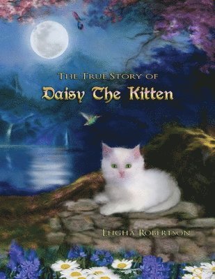 The True Story of Daisy the Kitten 1