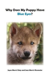 bokomslag Why Does My Puppy Have Blue Eyes?