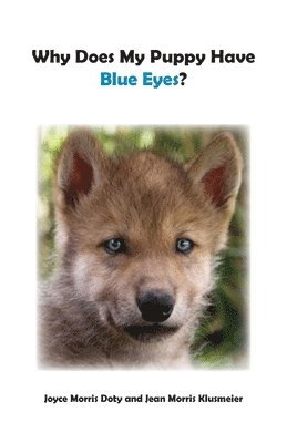 bokomslag Why Does My Puppy Have Blue Eyes?