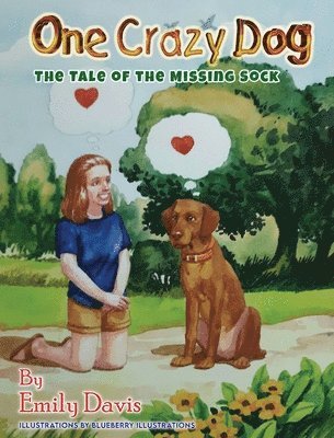Emily Davis - One Crazy Dog ( THE TALE OF THE MISSING SOCK ), Inbunden