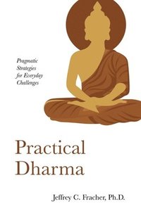 bokomslag Practical Dharma