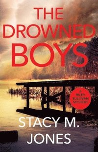 bokomslag Drowned Boys