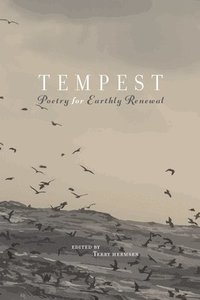 bokomslag Tempest