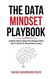 bokomslag The Data Mindset Playbook