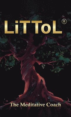 LiTToL 1