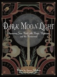 bokomslag Dark Moon Light