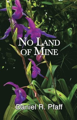 bokomslag No Land of Mine