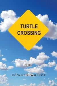 bokomslag Turtle Crossing