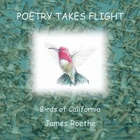 bokomslag Poetry Takes Flight