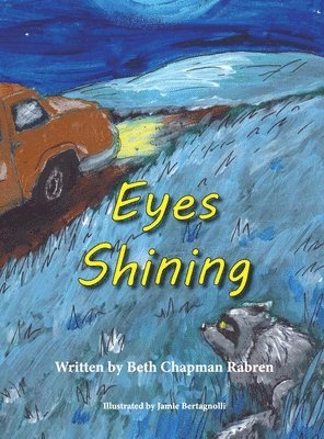 bokomslag Eyes Shining