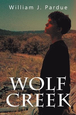 bokomslag Wolf Creek