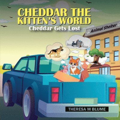 Cheddar The Kitten's World 1