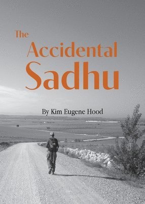 The Accidental Sadhu 1