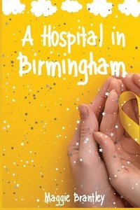 bokomslag A Hospital in Birmingham