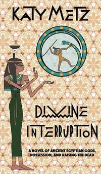 bokomslag Divine Interruption