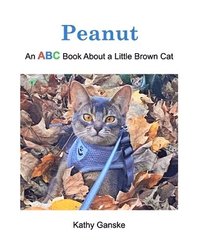 bokomslag Peanut: An ABC Book About a Little Brown Cat