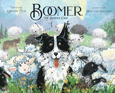 bokomslag Boomer the Border Collie