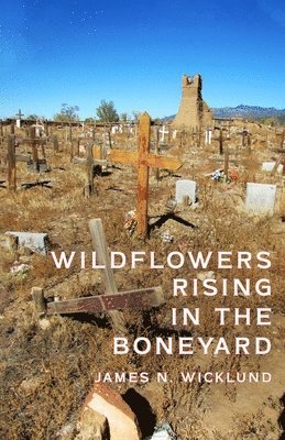 Wildflowers Rising in the Boneyard 1