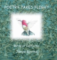 bokomslag Poetry Takes Flight