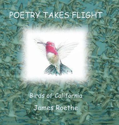 Poetry Takes Flight 1