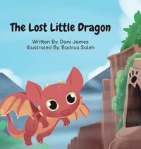 bokomslag The Lost Little Dragon