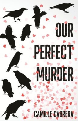 bokomslag Our Perfect Murder