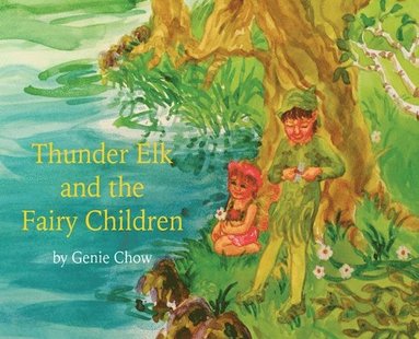 bokomslag Thunder Elk and the Fairy Children