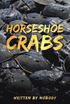 Horseshoe Crabs 1