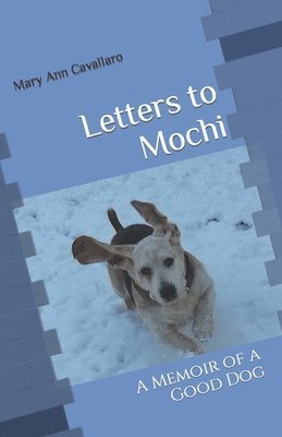 Letters to Mochi 1