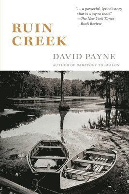 David Payne - Ruin Creek, Häftad