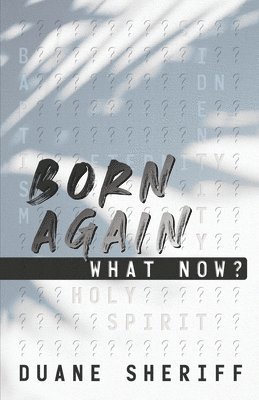 bokomslag Born Again What Now?