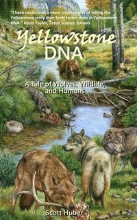 bokomslag Yellowstone DNA