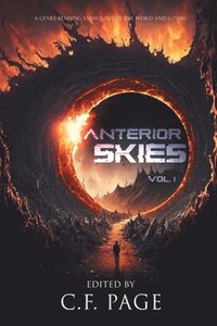 bokomslag Anterior Skies, Vol 1