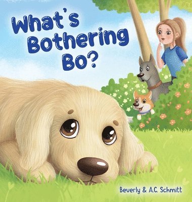 What's Bothering Bo? 1