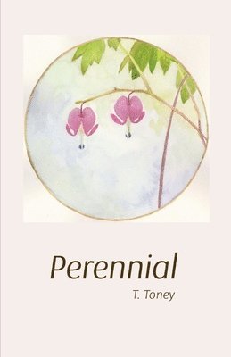 bokomslag Perennial