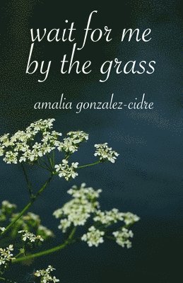 wait for me by the grass 1