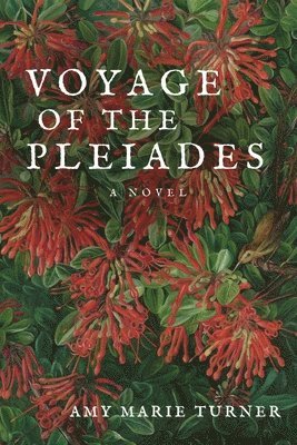 Voyage of the Pleiades 1