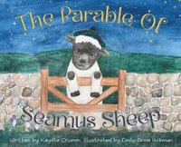 bokomslag Parable of Seamus Sheep