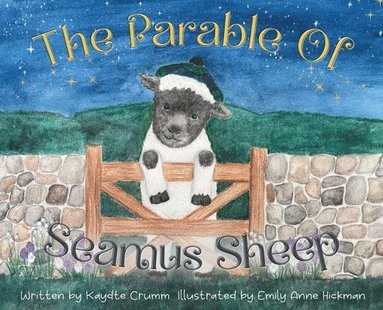bokomslag Parable of Seamus Sheep