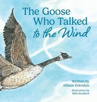 bokomslag Goose Who Talked to the Wind