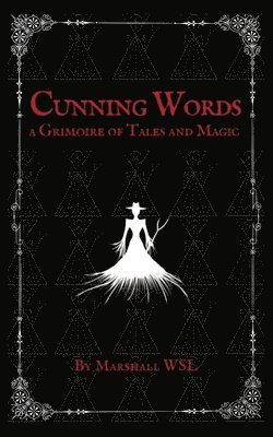 bokomslag Cunning Words