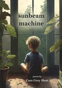 bokomslag Sunbeam Machine