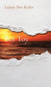 bokomslag Boi Toy
