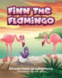 bokomslag Finn The Flamingo