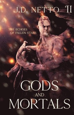 J D Netto, J. D. Netto, J.D. Netto - Echoes of Fallen Stars, Häftad